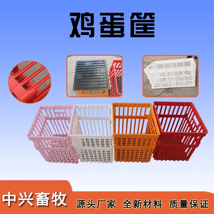 雞蛋筐