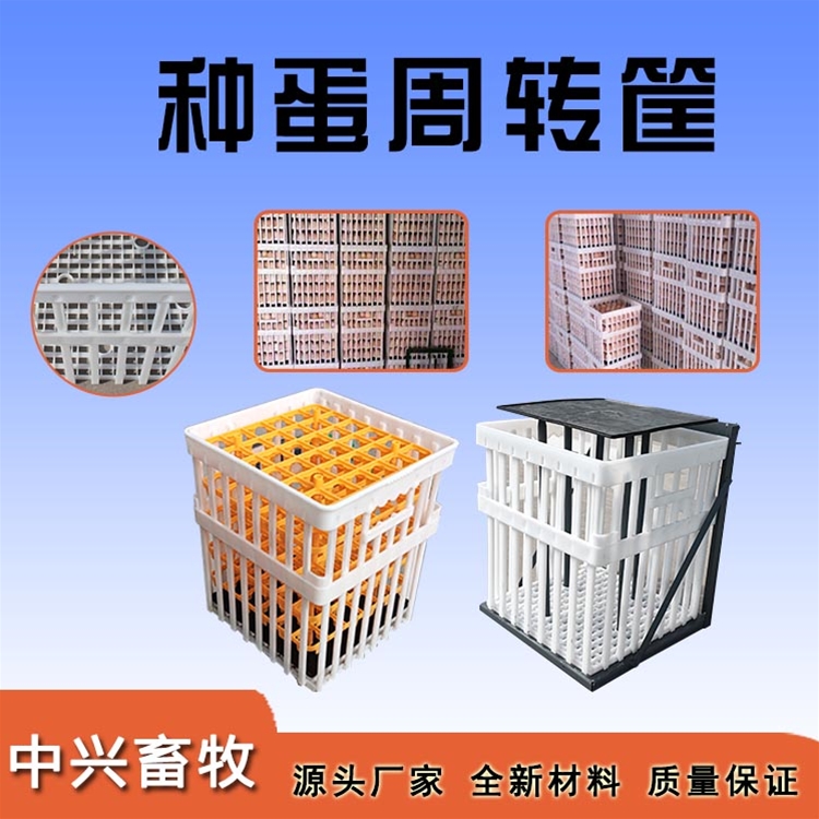 種蛋周轉(zhuǎn)筐
