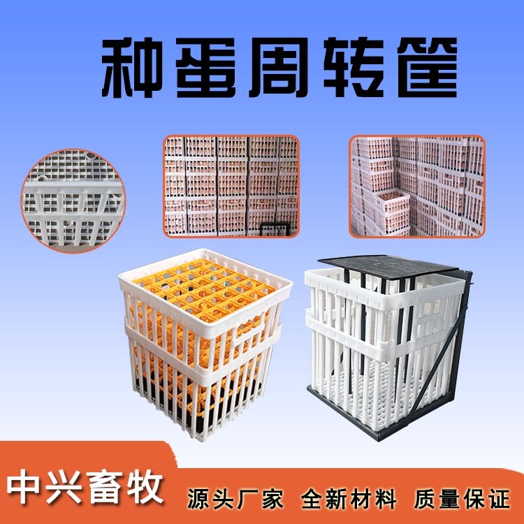 種蛋周轉(zhuǎn)筐