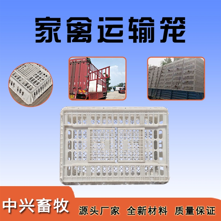 元寶型雞運(yùn)輸籠