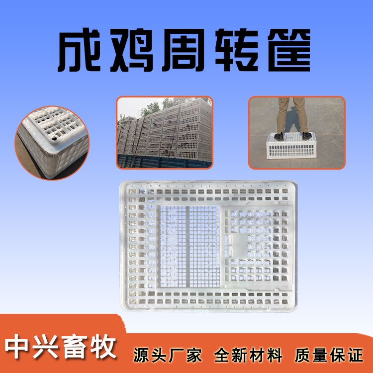 方形周轉(zhuǎn)雞筐