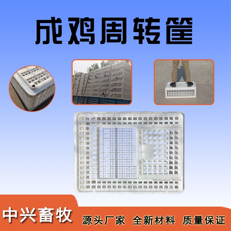 方形周轉(zhuǎn)雞筐