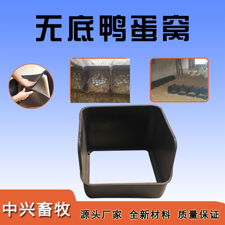 無(wú)底鴨蛋窩