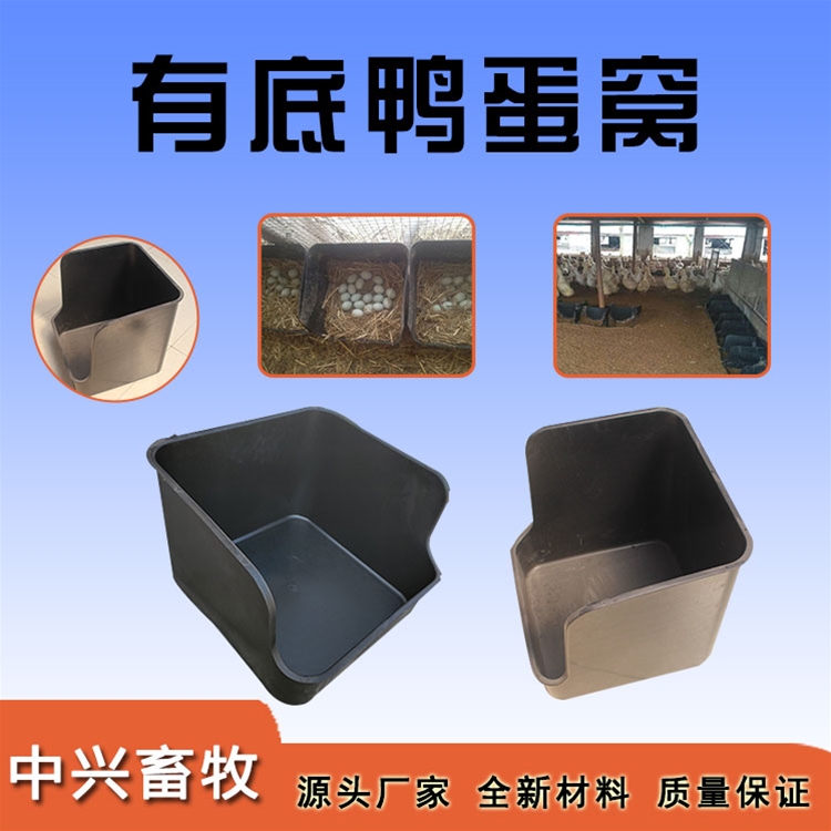 有底鴨蛋窩