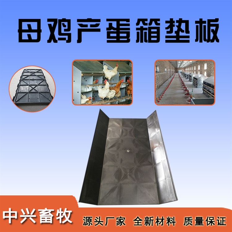 母雞產(chǎn)蛋箱墊板