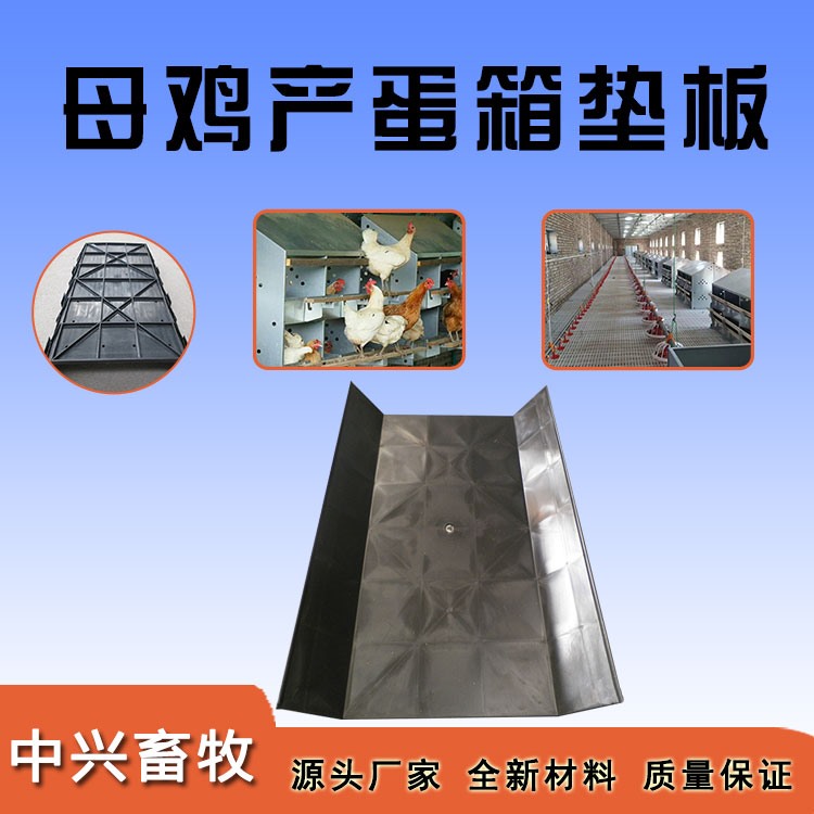 母雞產(chǎn)蛋箱墊板