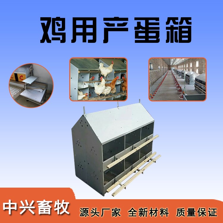 雞用產(chǎn)蛋箱