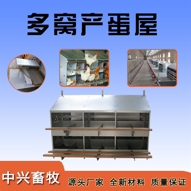 多窩產(chǎn)蛋屋