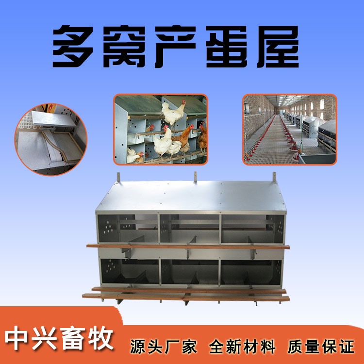 多窩產(chǎn)蛋屋