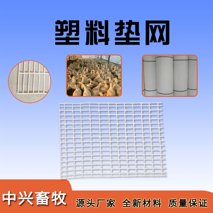 塑料墊網(wǎng)