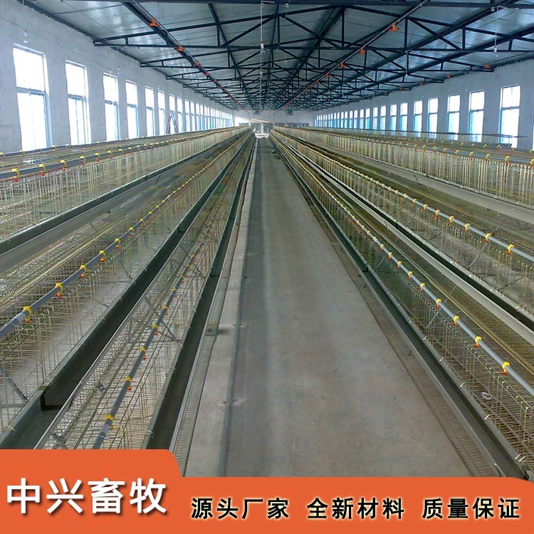 育雛育成雞籠