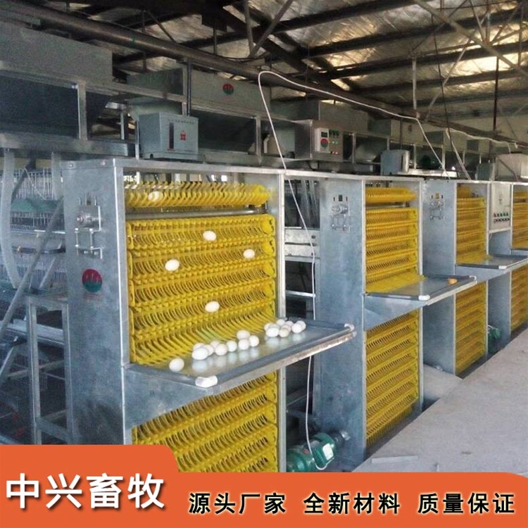 階梯式蛋種雞籠