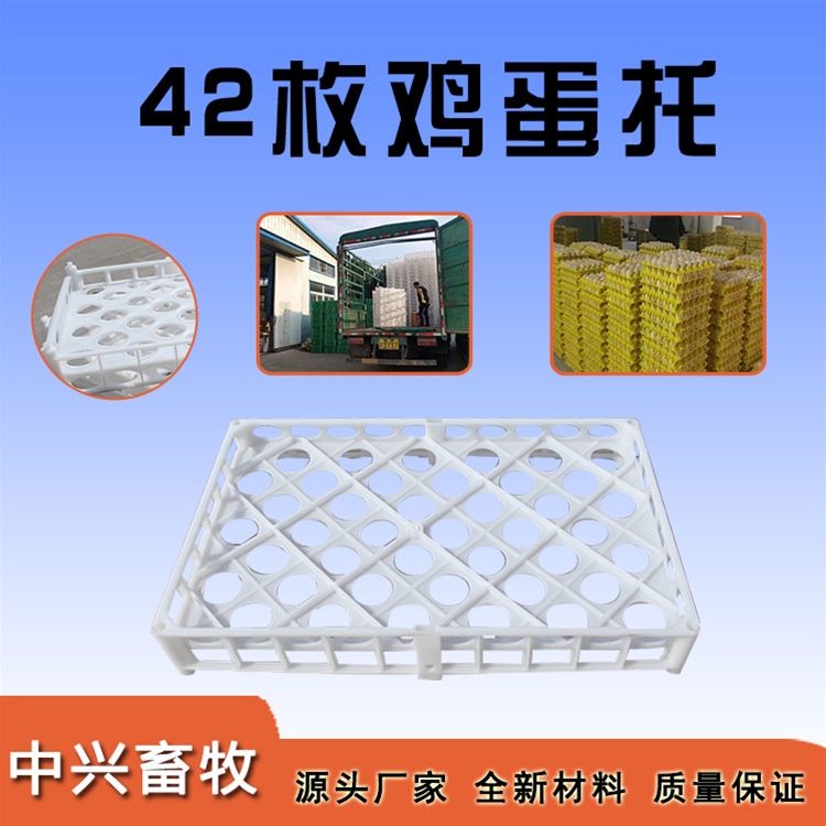 42枚雞蛋托