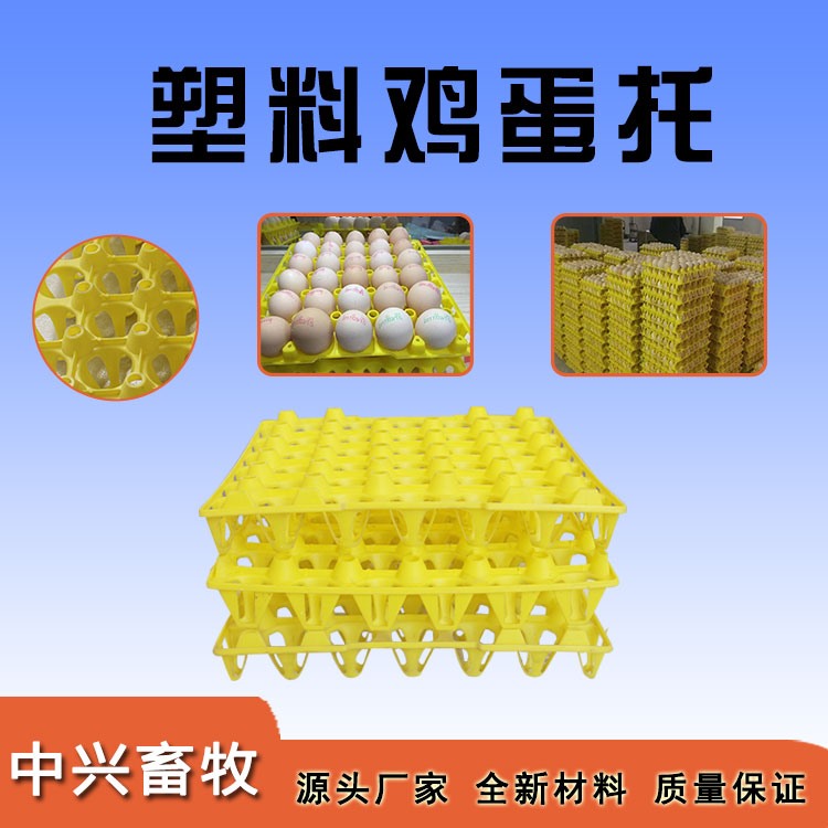 塑料雞蛋托