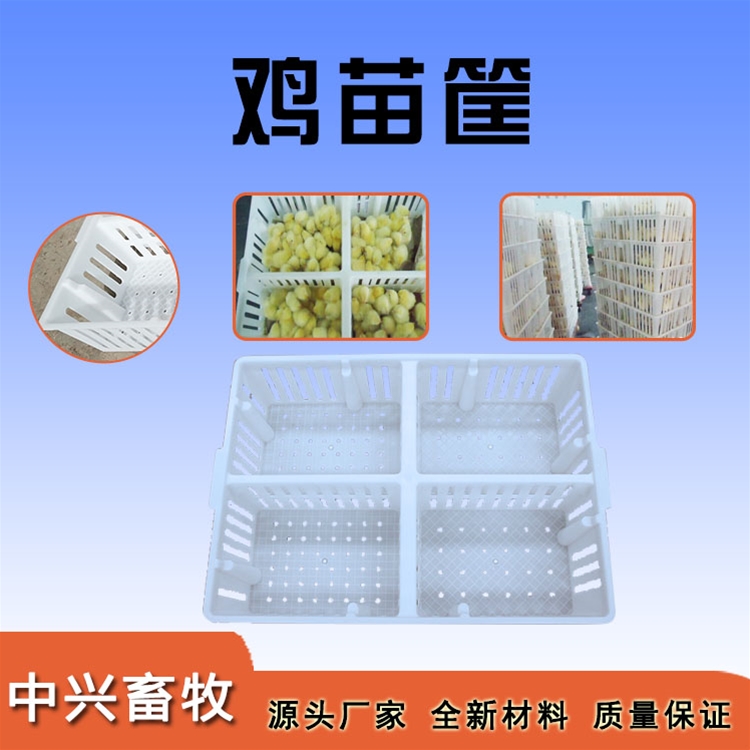 雞苗筐