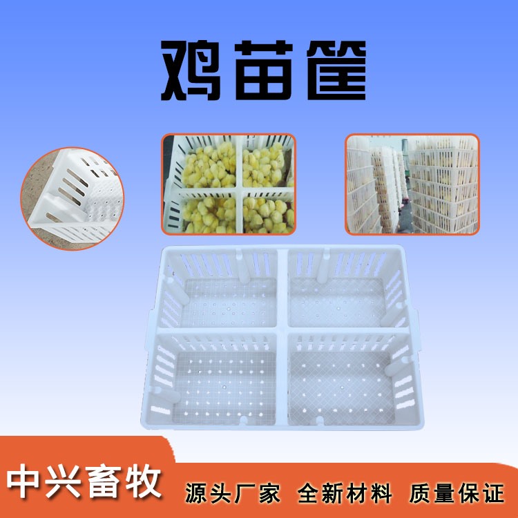 雞苗筐